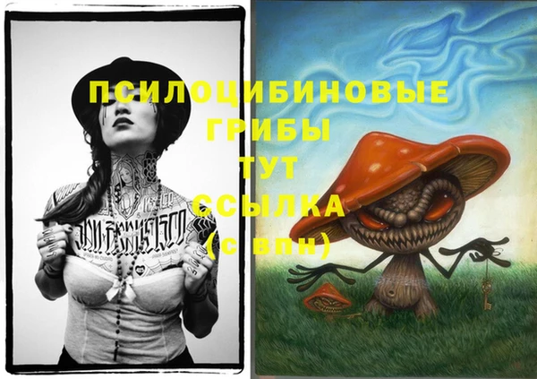 ALPHA PVP Алексеевка