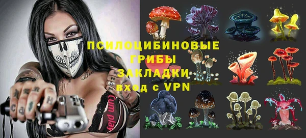 спиды Алзамай