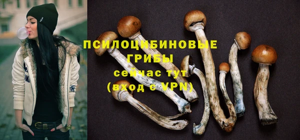 спиды Алзамай